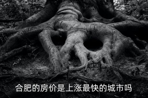 合肥的房價(jià)是上漲最快的城市嗎