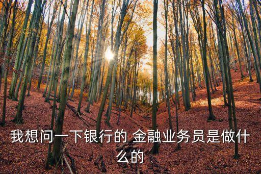 我想問(wèn)一下銀行的 金融業(yè)務(wù)員是做什么的