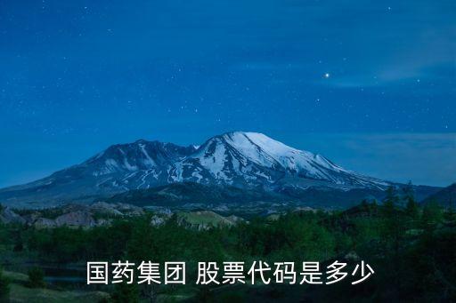  國(guó)藥集團(tuán) 股票代碼是多少
