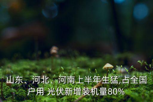 山東、河北、河南上半年生猛,占全國(guó)戶用 光伏新增裝機(jī)量80%