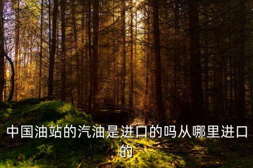 中國(guó)油站的汽油是進(jìn)口的嗎從哪里進(jìn)口的