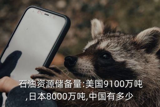  石油資源儲(chǔ)備量:美國(guó)9100萬(wàn)噸,日本8000萬(wàn)噸,中國(guó)有多少