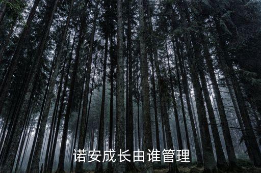  諾安成長(zhǎng)由誰管理