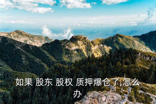 上市公司大股東股權質押