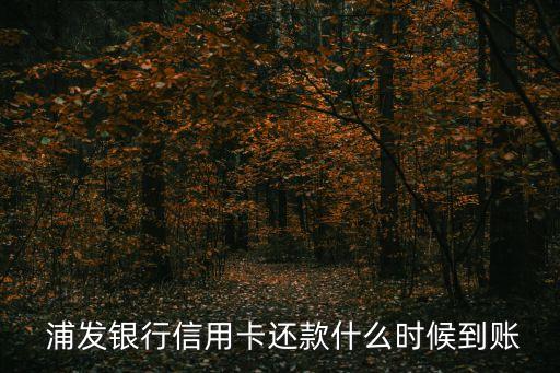 浦發(fā)上海農商,浦發(fā)轉農商多久到賬