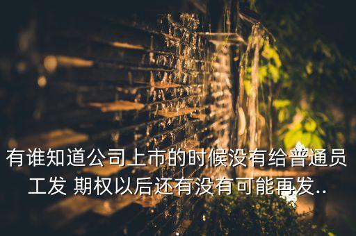 有誰(shuí)知道公司上市的時(shí)候沒有給普通員工發(fā) 期權(quán)以后還有沒有可能再發(fā)...