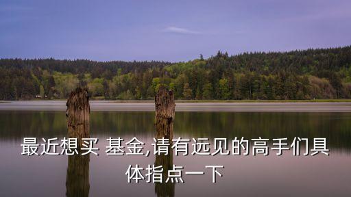 嘉實領先成長基金混合基金怎么樣,嘉實核心成長混合基金010186