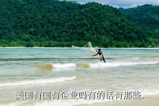 中國的國企與美國的私企,美國航天局是國企還是私企