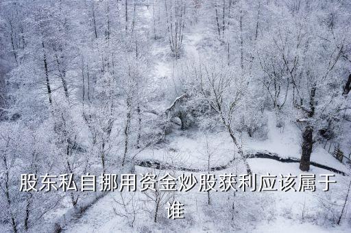  股東私自挪用資金炒股獲利應(yīng)該屬于誰(shuí)