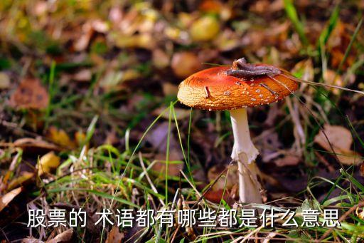 股票中的專(zhuān)業(yè)術(shù)語(yǔ),股票的專(zhuān)業(yè)術(shù)語(yǔ)你真的全部知道嗎