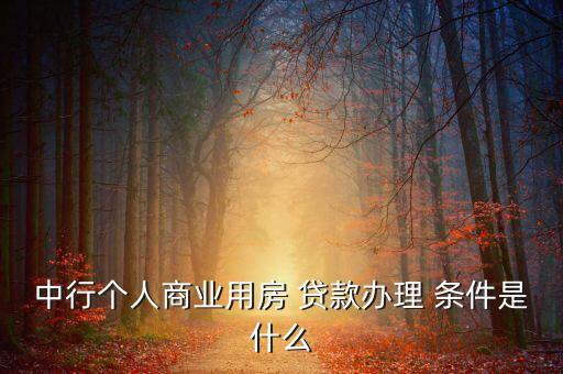 中行個(gè)人商業(yè)用房 貸款辦理 條件是什么