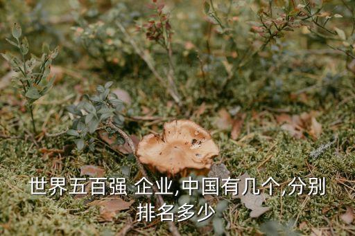 世界五百強 企業(yè),中國有幾個,分別排名多少
