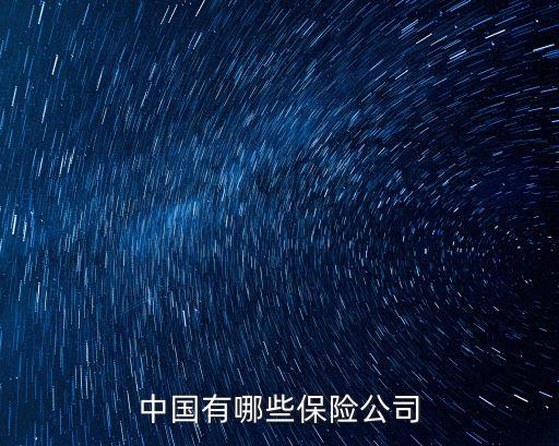 中國(guó)有哪些保險(xiǎn)公司
