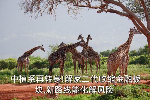  中植系再轉(zhuǎn)身!解家二代收縮金融板塊,新路線能化解風(fēng)險(xiǎn)