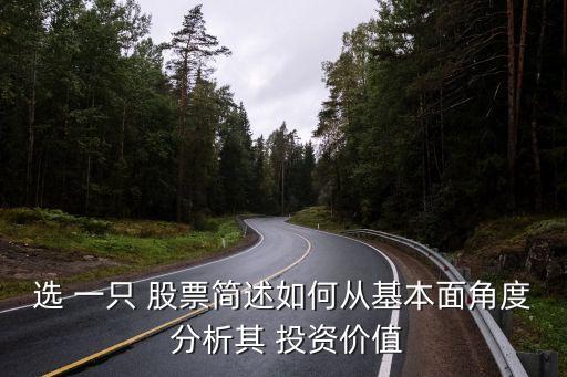 選 一只 股票簡述如何從基本面角度 分析其 投資價值