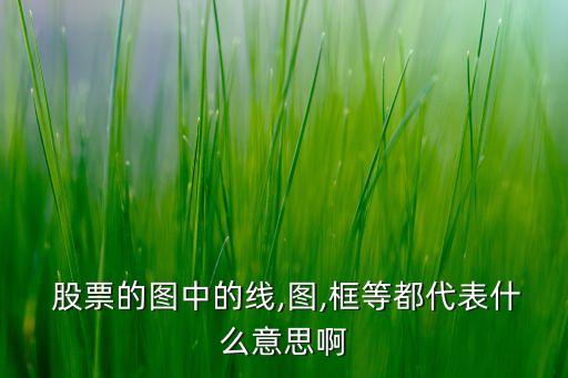  股票的圖中的線(xiàn),圖,框等都代表什么意思啊