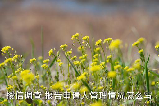 授信調查 報告申請人管理情況怎么寫