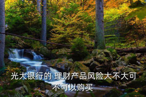  光大銀行的 理財(cái)產(chǎn)品風(fēng)險(xiǎn)大不大可不可以購(gòu)買
