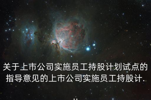 關(guān)于上市公司實(shí)施員工持股計劃試點(diǎn)的指導(dǎo)意見的上市公司實(shí)施員工持股計...