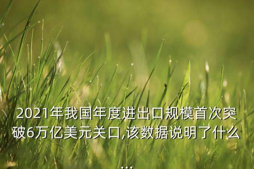 2021年我國年度進出口規(guī)模首次突破6萬億美元關口,該數據說明了什么...