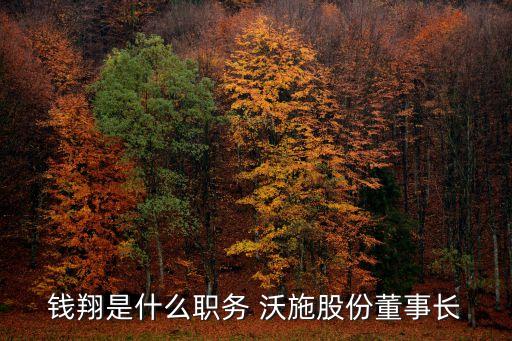 錢翔是什么職務 沃施股份董事長