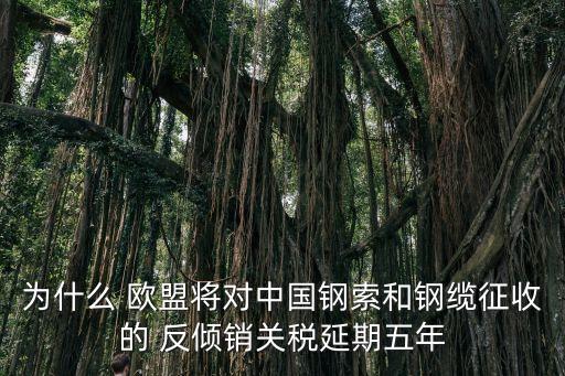 為什么 歐盟將對(duì)中國(guó)鋼索和鋼纜征收的 反傾銷關(guān)稅延期五年