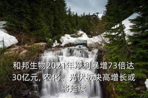 和邦生物2021年凈利暴增73倍達30億元, 農(nóng)化、光伏板塊高增長或?qū)⒀永m(xù)