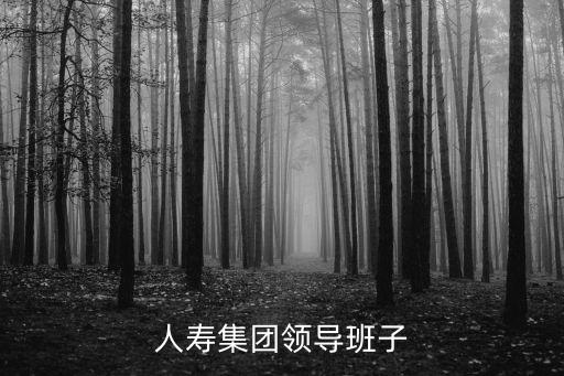中國人壽集團領導班子