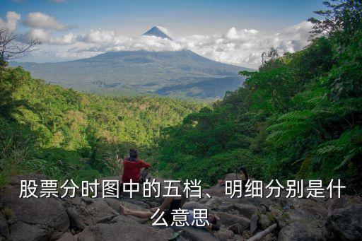  股票分時(shí)圖中的五檔、明細(xì)分別是什么意思