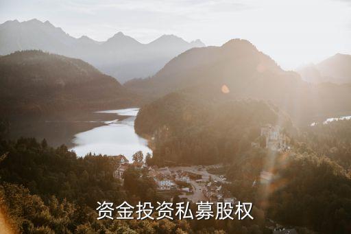 保險資金投資私募股權(quán)