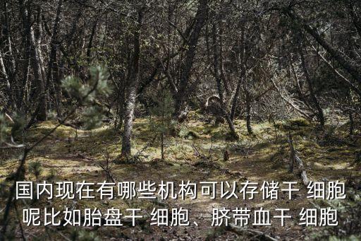 國(guó)內(nèi)現(xiàn)在有哪些機(jī)構(gòu)可以存儲(chǔ)干 細(xì)胞呢比如胎盤(pán)干 細(xì)胞、臍帶血干 細(xì)胞