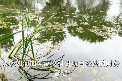 淺談如何加強(qiáng)高?？蒲许?xiàng)目經(jīng)費(fèi)的財(cái)務(wù)管理