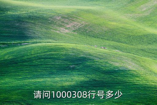 請問1000308行號多少