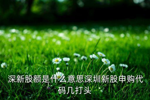  深新股額是什么意思深圳新股申購(gòu)代碼幾打頭