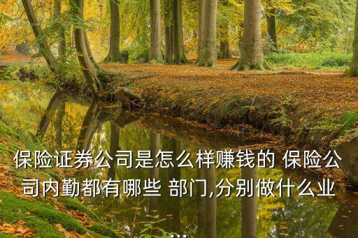 保險(xiǎn)證券公司是怎么樣賺錢(qián)的 保險(xiǎn)公司內(nèi)勤都有哪些 部門(mén),分別做什么業(yè)...