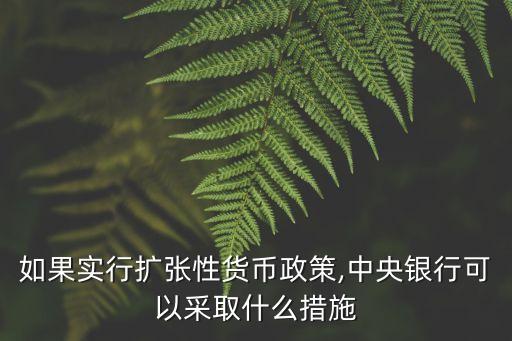 中國(guó)版qe是,中國(guó)qe的傳聞