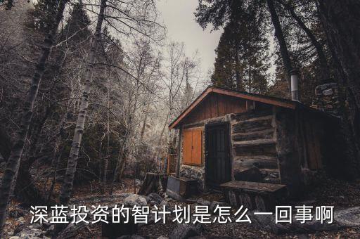  深藍(lán)投資的智計劃是怎么一回事啊