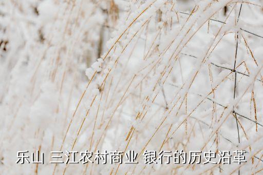 樂(lè)山 三江農(nóng)村商業(yè) 銀行的歷史沿革