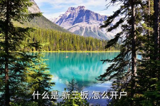 什么是 新三板,怎么開戶