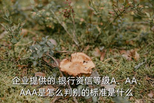 企業(yè)提供的 銀行資信等級(jí)A、AA、AAA是怎么判別的標(biāo)準(zhǔn)是什么