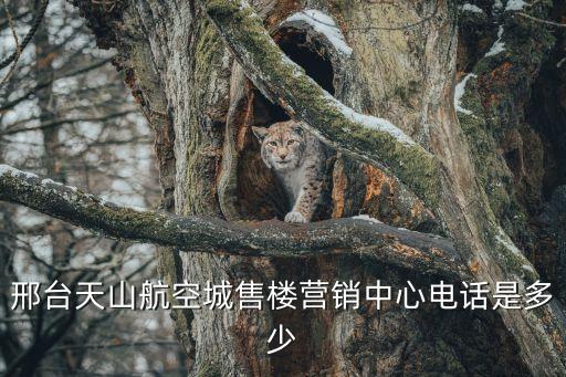 邢臺(tái)天山航空城售樓營(yíng)銷中心電話是多少