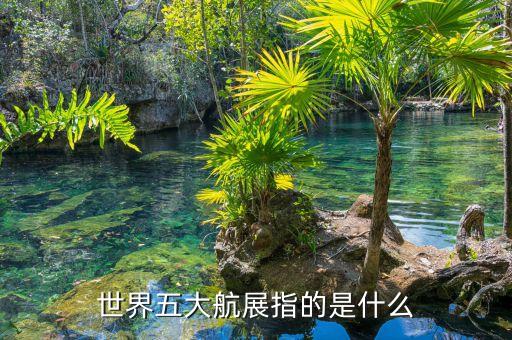 上海國際商務航空展覽會,大道國際商務航空拖欠工資