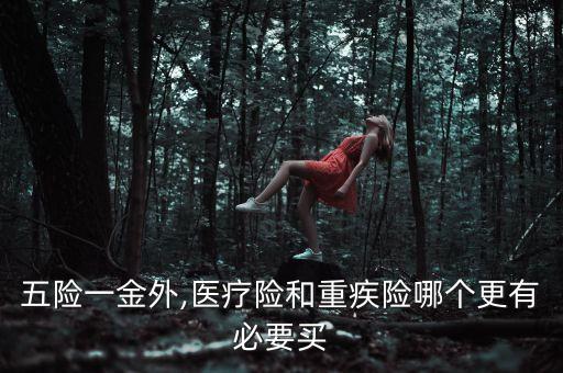 五險(xiǎn)一金外,醫(yī)療險(xiǎn)和重疾險(xiǎn)哪個(gè)更有必要買(mǎi)
