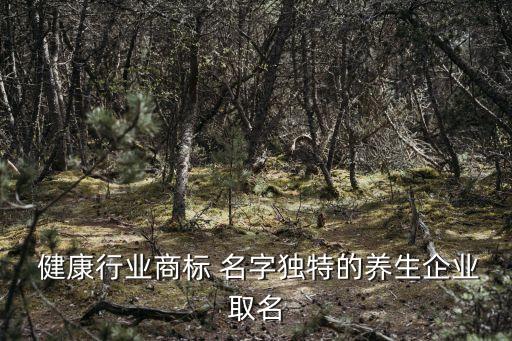  健康行業(yè)商標(biāo) 名字獨特的養(yǎng)生企業(yè)取名