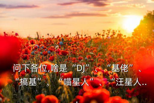 問下各位,啥是“DJ”、“基佬”、“搞基”、“喵星人”、“汪星人...