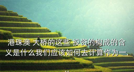 港珠澳 大橋的這些 投資的構(gòu)成的含義是什么我們應該如何去計算作為一...