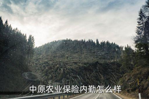  中原農業(yè)保險內勤怎么樣