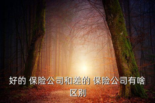 好的 保險公司和差的 保險公司有啥區(qū)別