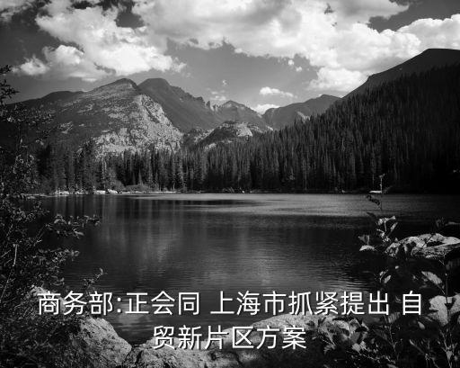 商務(wù)部:正會(huì)同 上海市抓緊提出 自貿(mào)新片區(qū)方案