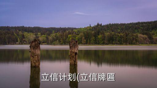 立信計劃(立信牌匾